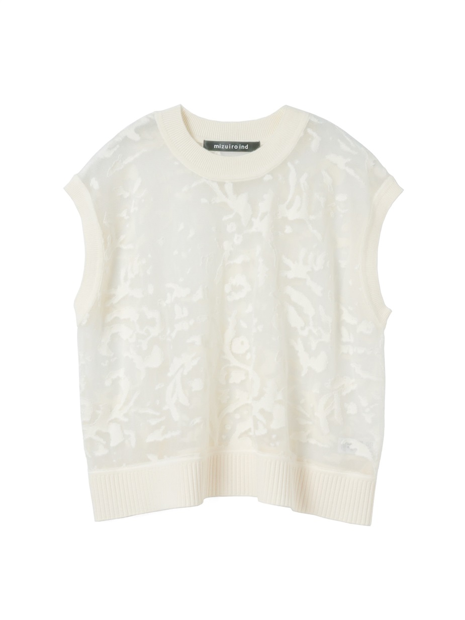 ivory 12 Free の画像