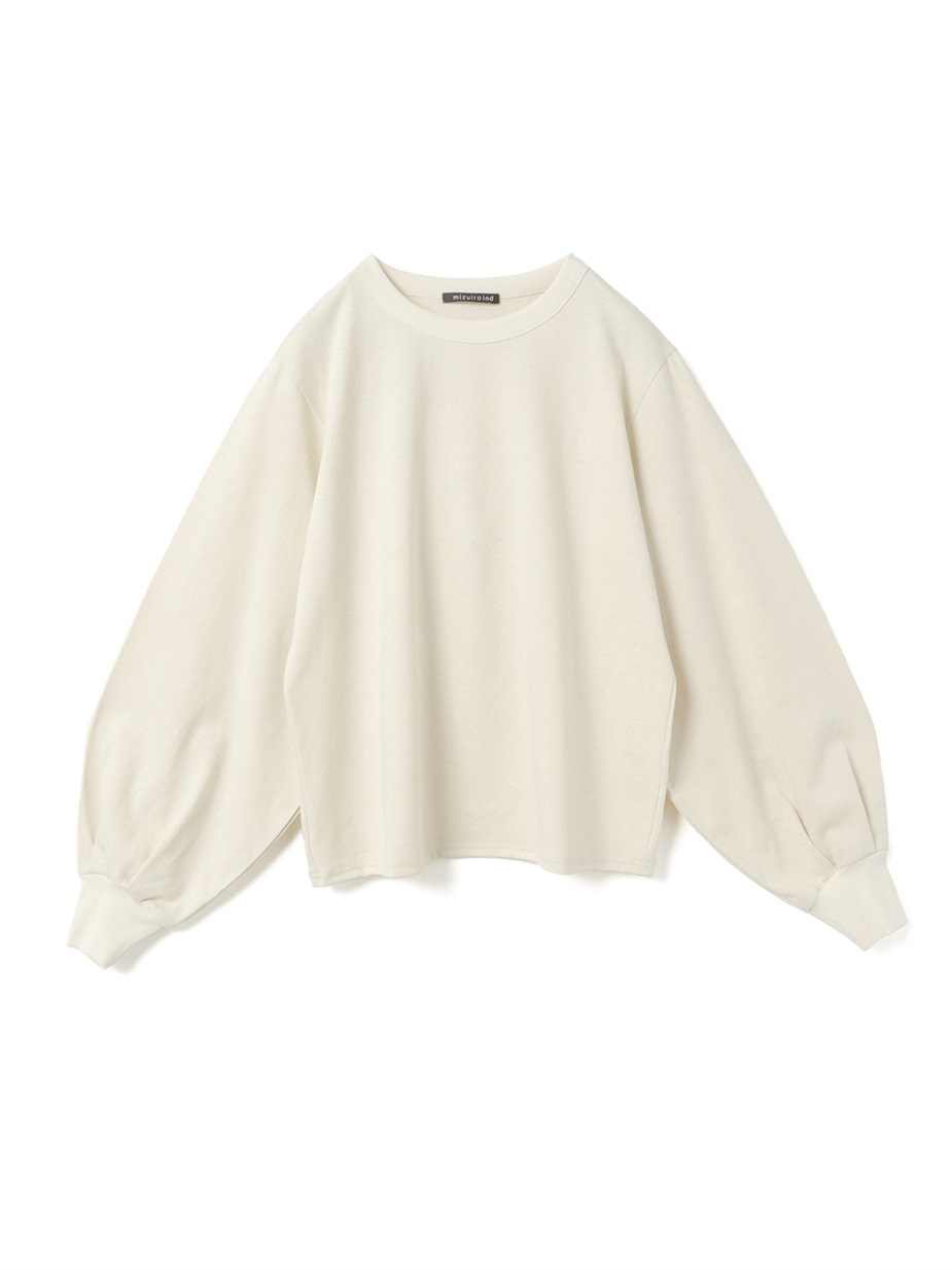 ivory 12 Free の画像